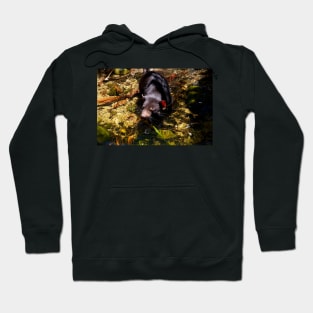 Devil Cooling Off Hoodie